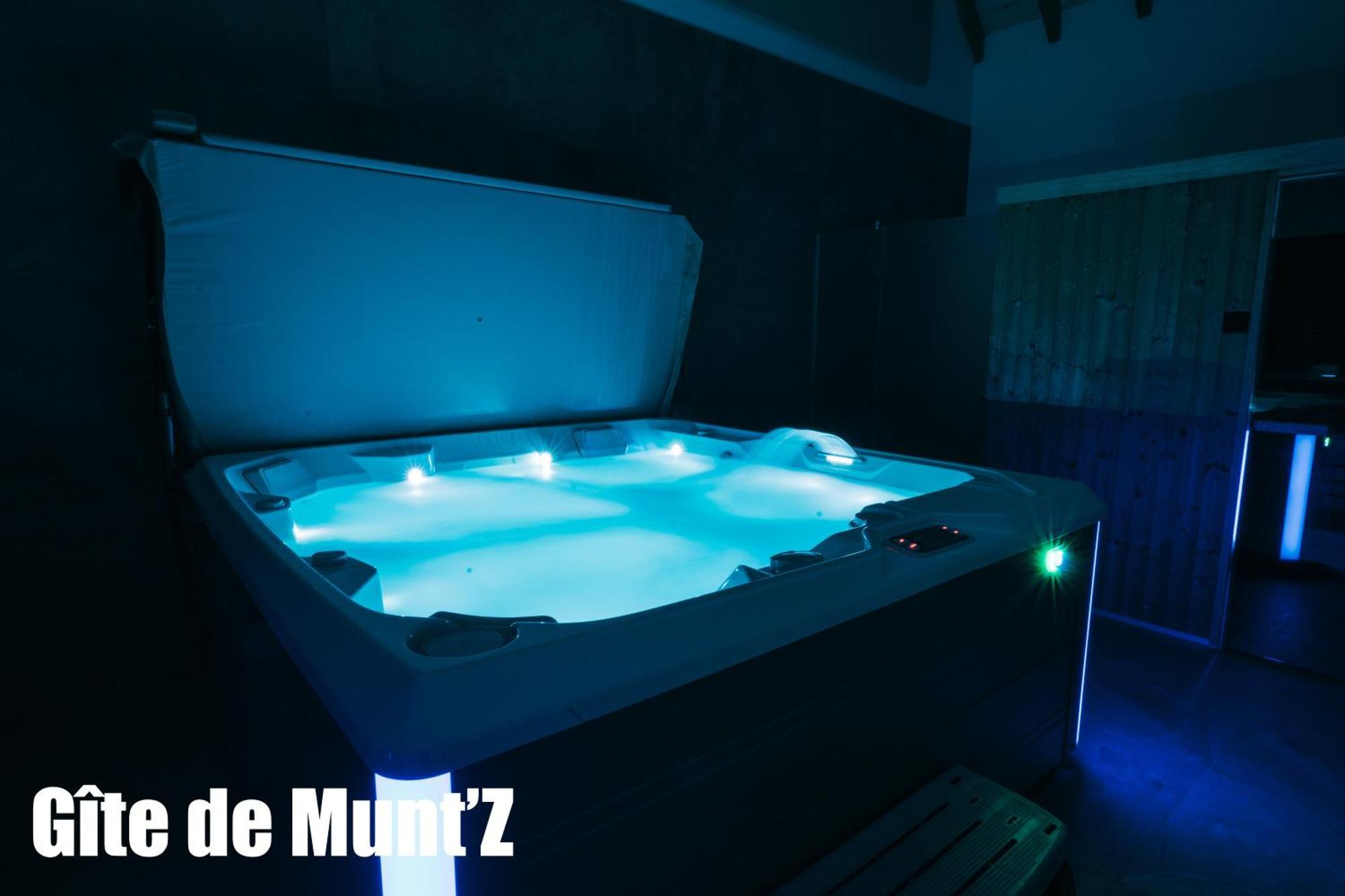 Gite De Munt'Z Spa, Sauna, Piscine, Proche De Colmar Muntzenheim Buitenkant foto